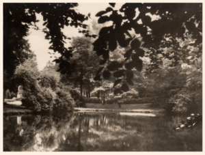 Senftenberg